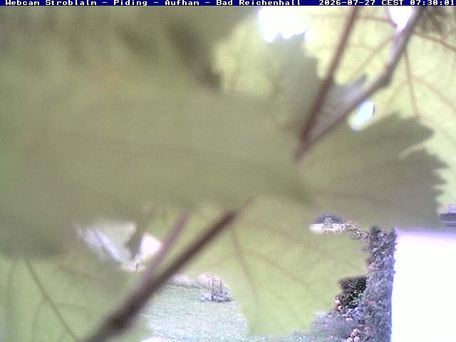 Archiv Foto Webcam Strobalm - Piding - Aufham - Bad Reichenhall