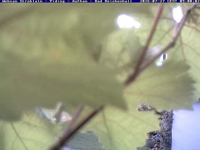 Archiv Foto Webcam Strobalm - Piding - Aufham - Bad Reichenhall