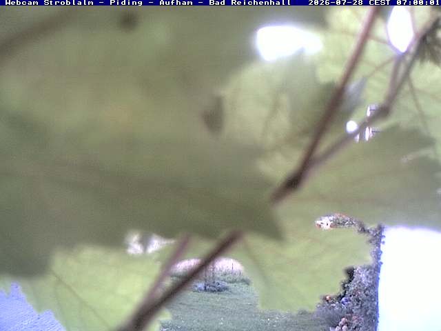 Archiv Foto Webcam Strobalm - Piding - Aufham - Bad Reichenhall