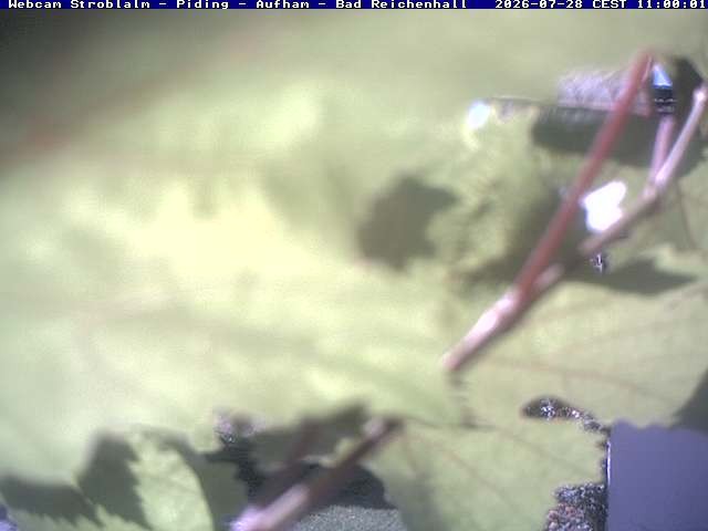 Archiv Foto Webcam Strobalm - Piding - Aufham - Bad Reichenhall