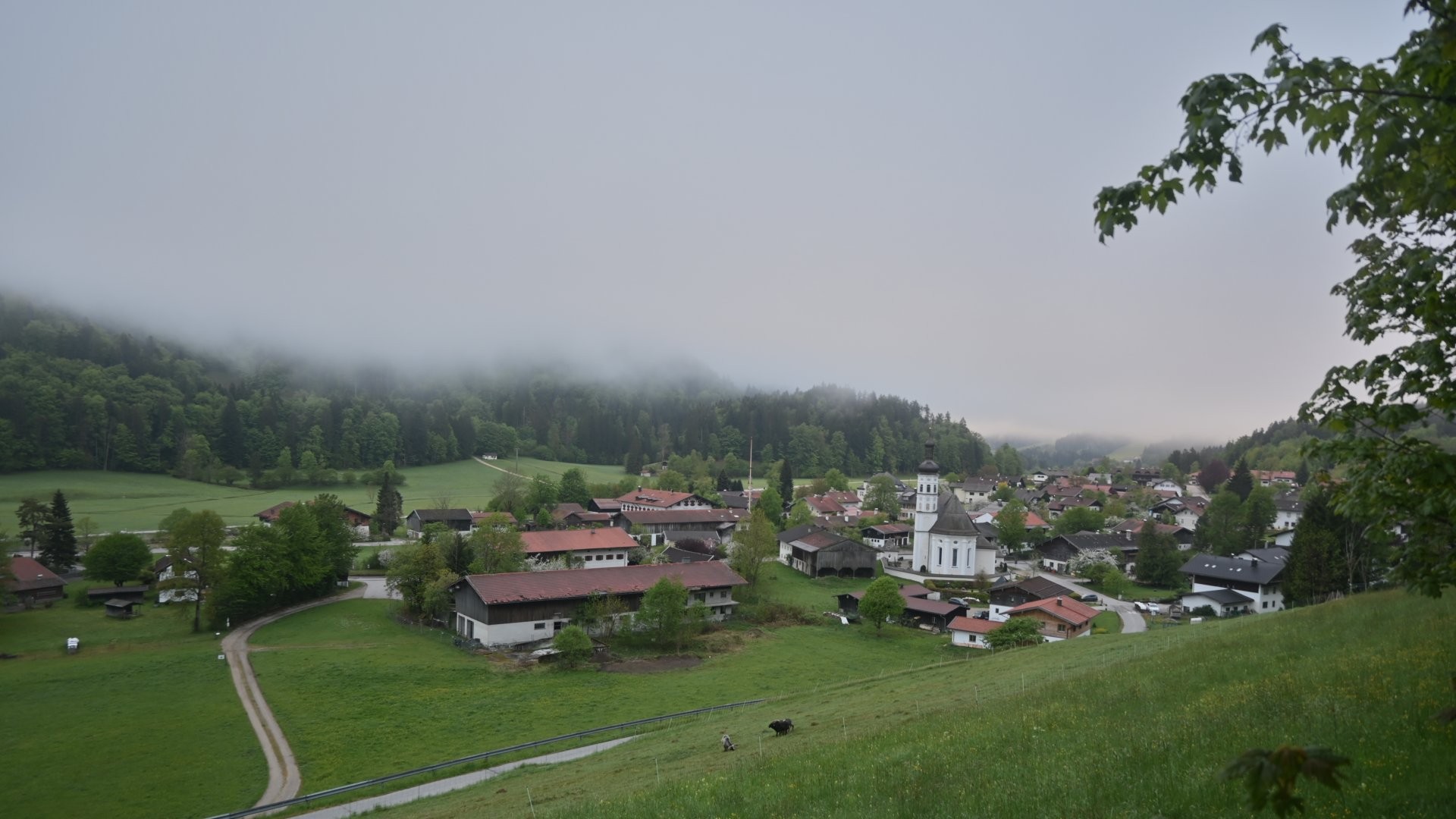 Archiv Foto Webcam Sachrang-Blick über Bergsteigerdorf