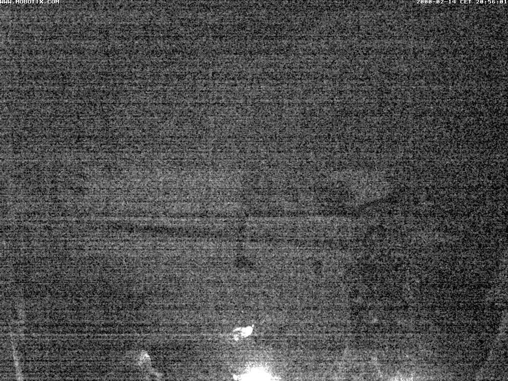 Archiv Foto Webcam Murnauer Moos am Biergarten Ähndl