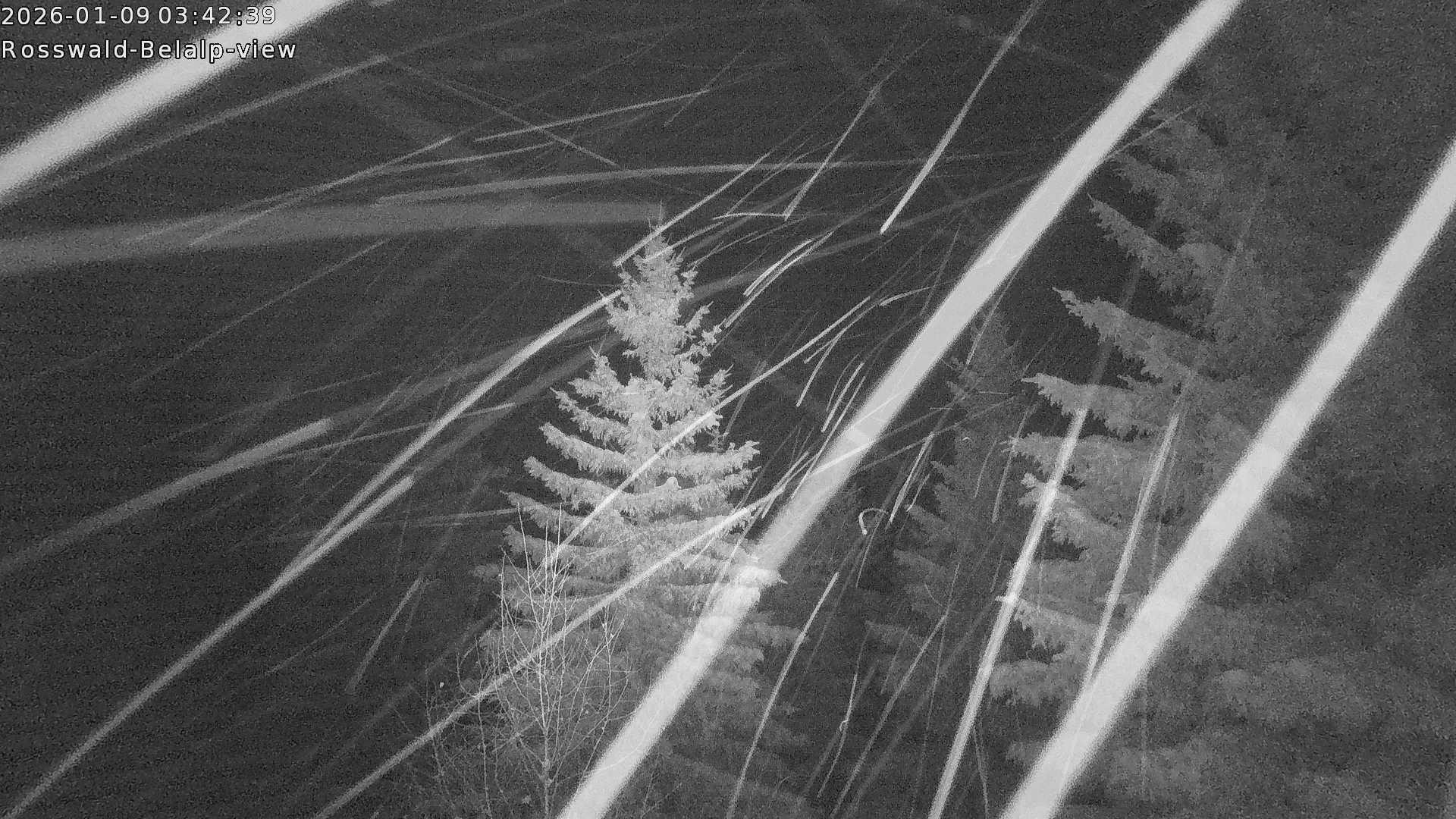 Archiv Foto Webcam Rosswald - Chalet Bergfriede