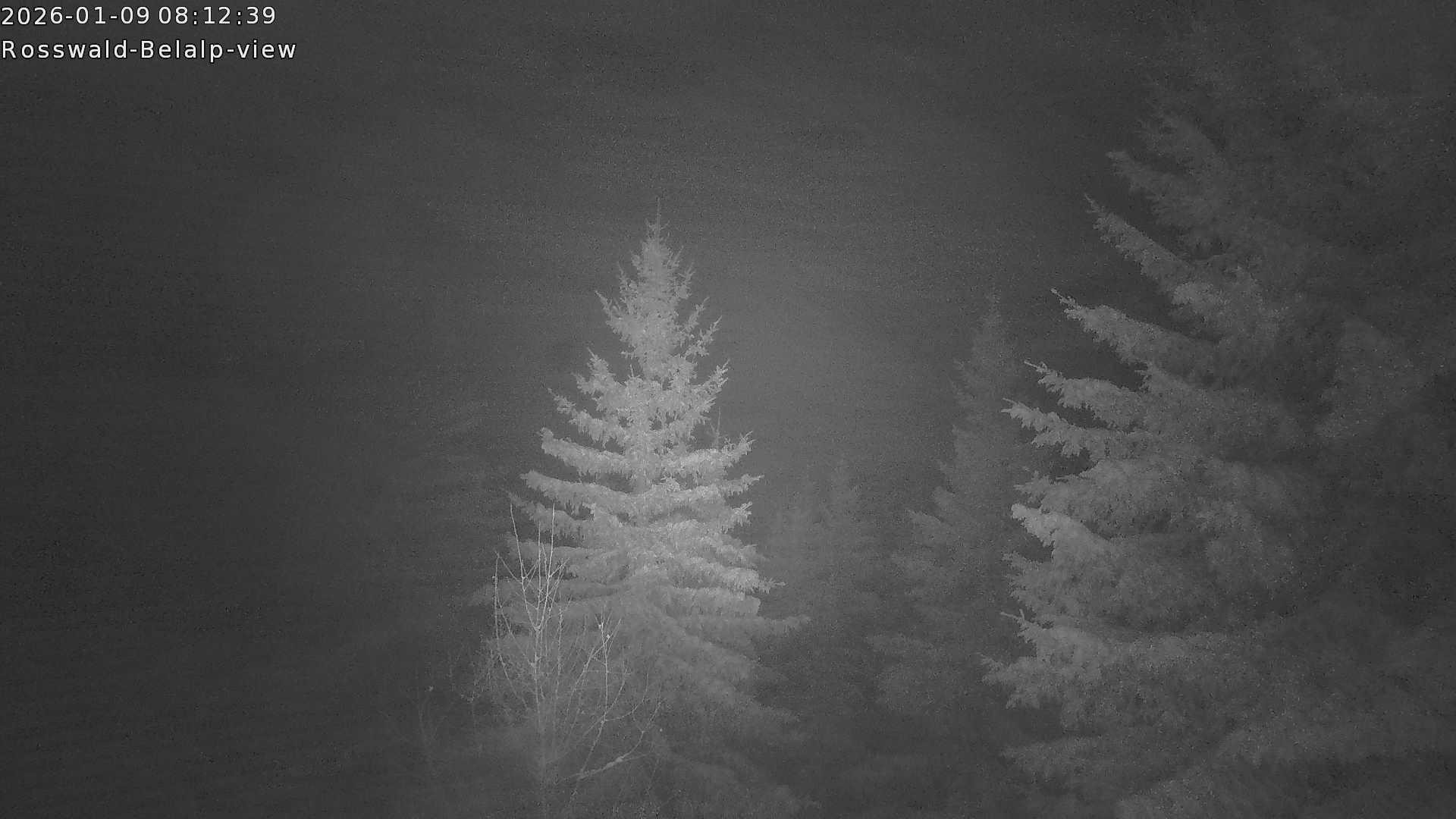 Archiv Foto Webcam Rosswald - Chalet Bergfriede