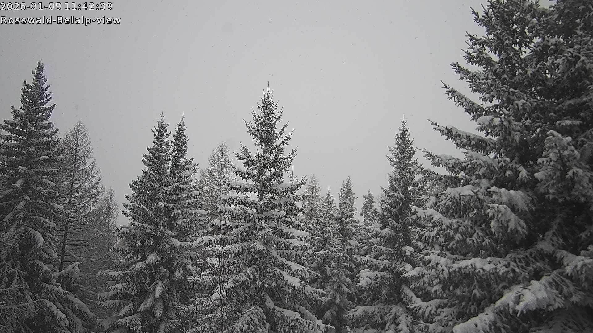 Archiv Foto Webcam Rosswald - Chalet Bergfriede