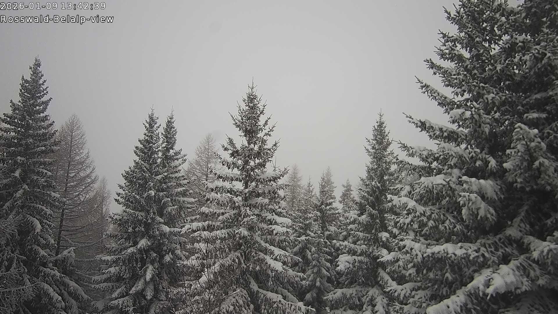 Archiv Foto Webcam Rosswald - Chalet Bergfriede