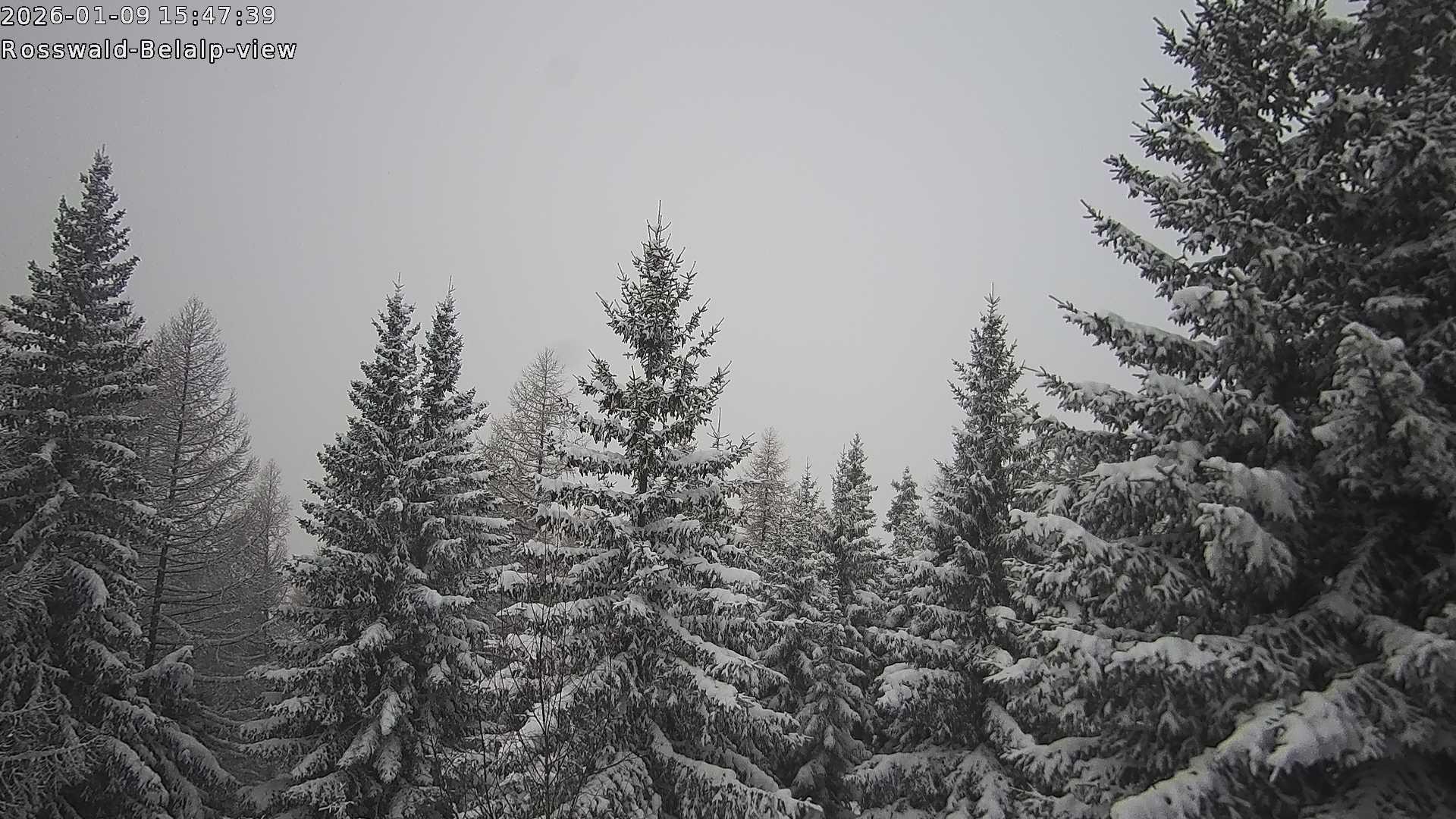 Archiv Foto Webcam Rosswald - Chalet Bergfriede