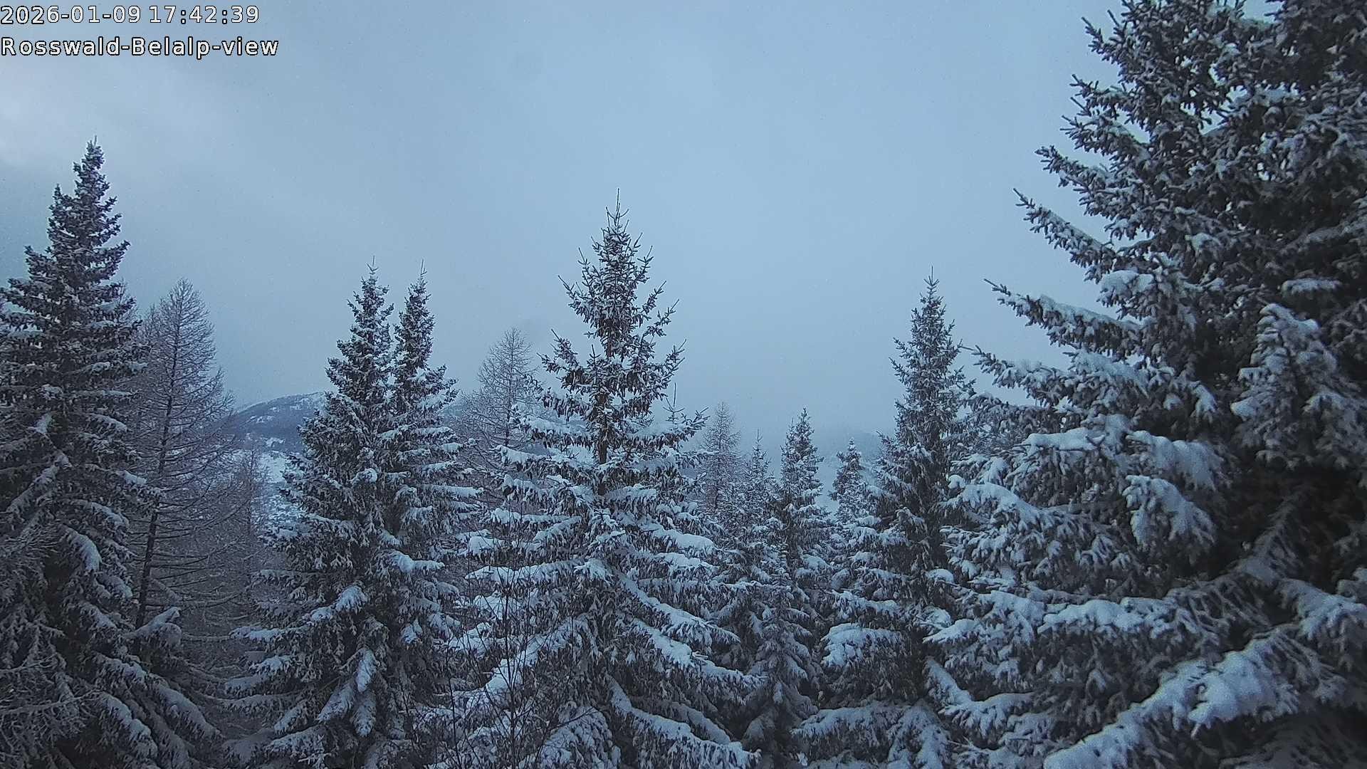 Archiv Foto Webcam Rosswald - Chalet Bergfriede