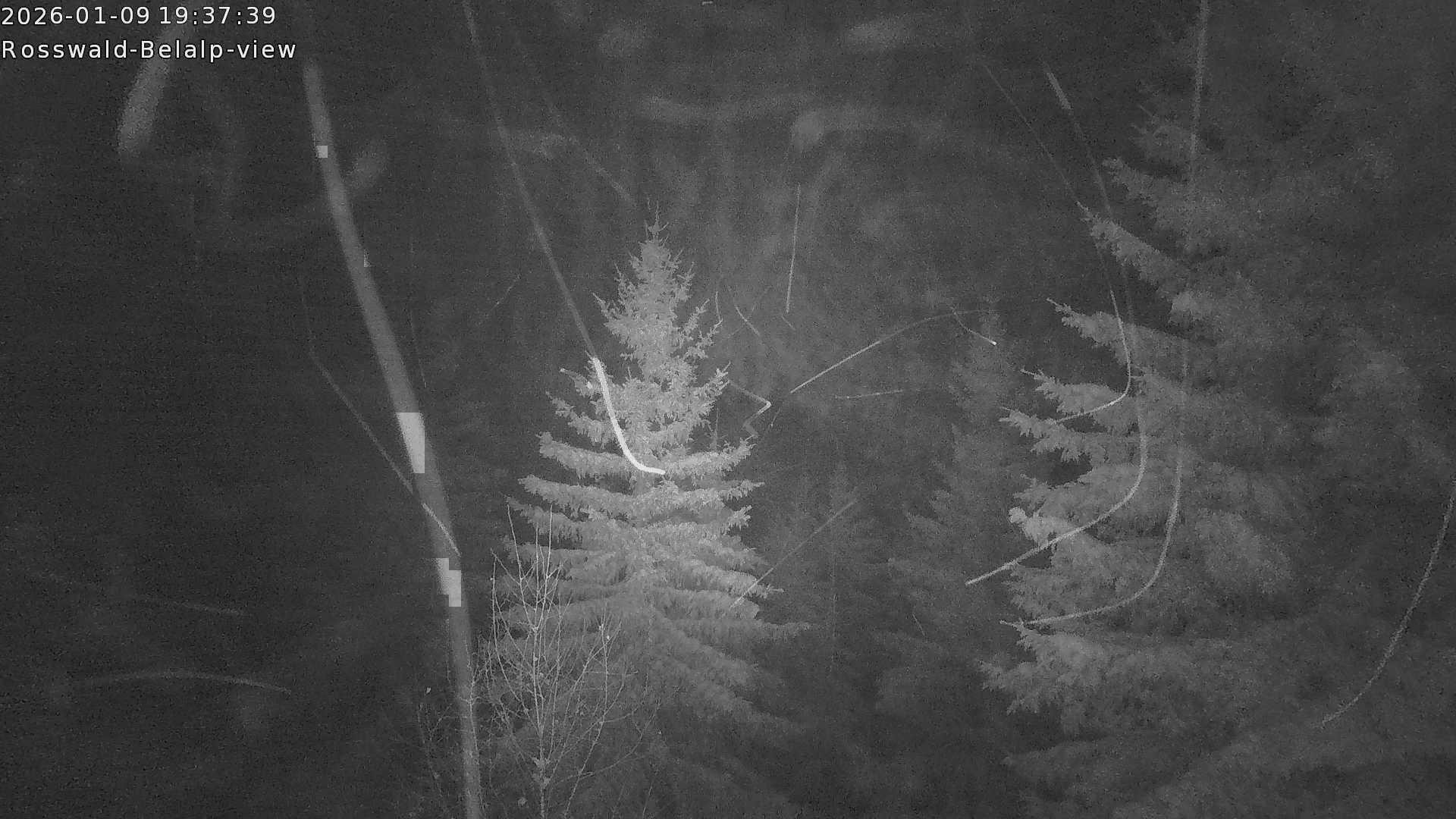 Archiv Foto Webcam Rosswald - Chalet Bergfriede