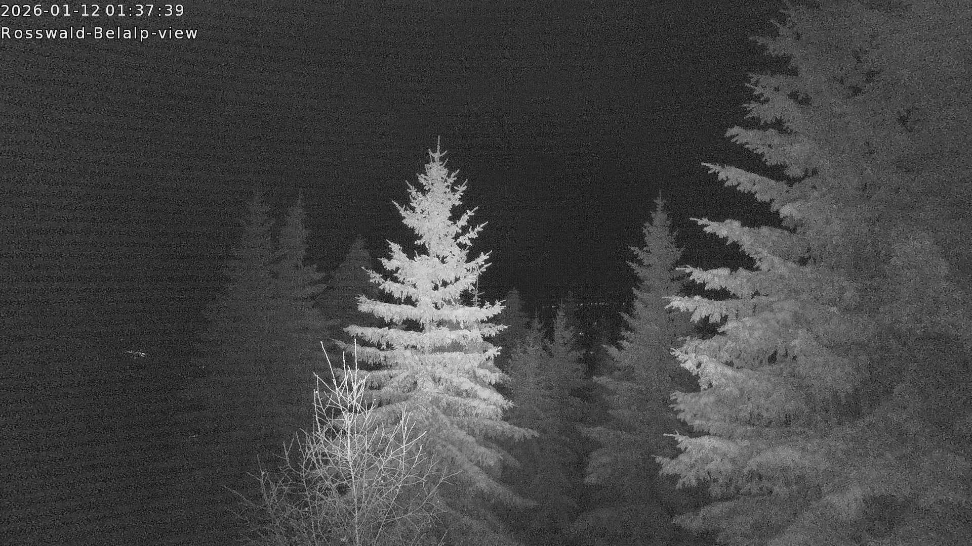 Archiv Foto Webcam Rosswald - Chalet Bergfriede