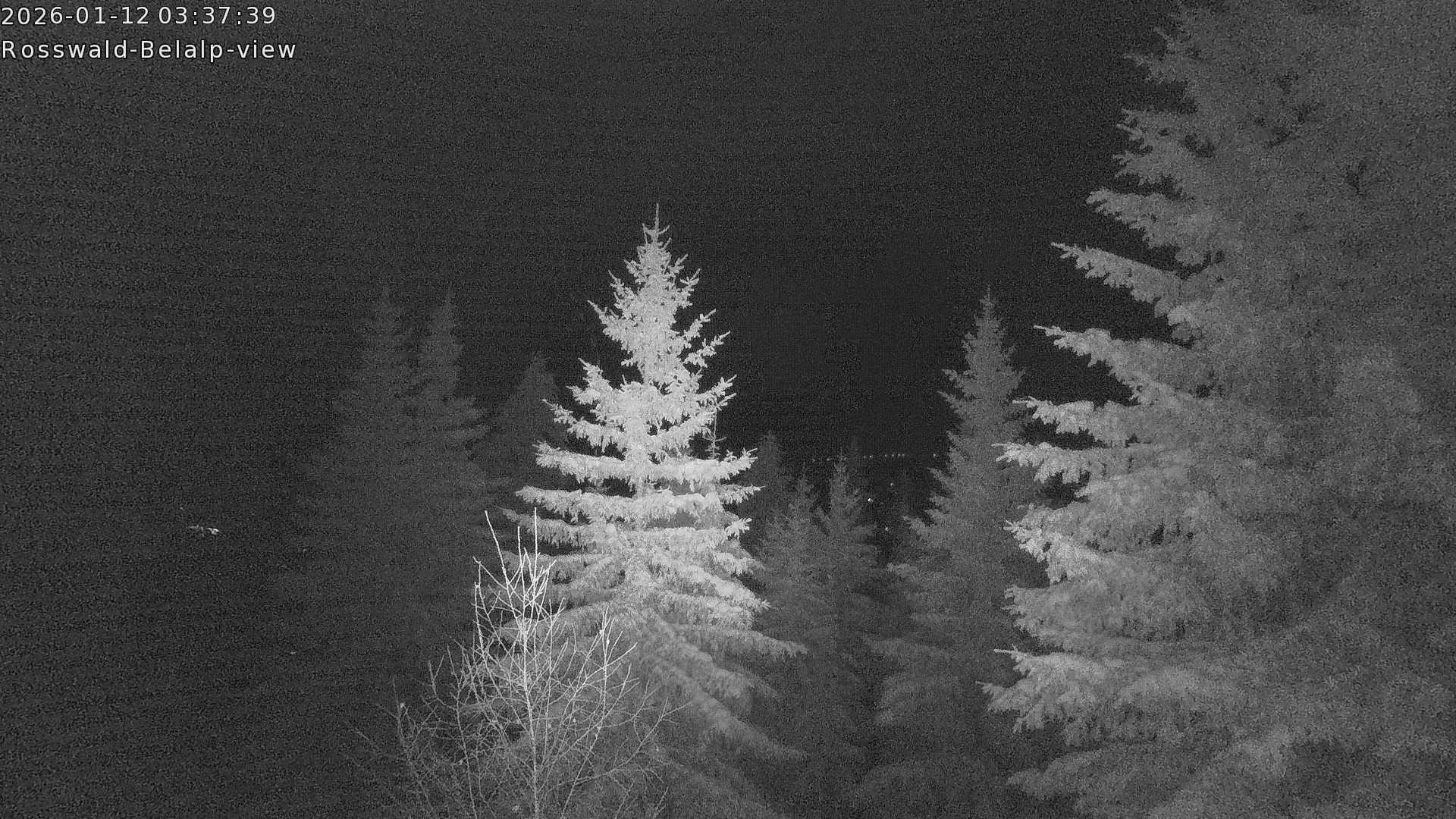 Archiv Foto Webcam Rosswald - Chalet Bergfriede