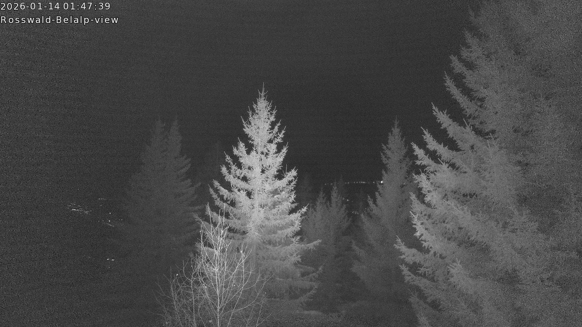 Archiv Foto Webcam Rosswald - Chalet Bergfriede