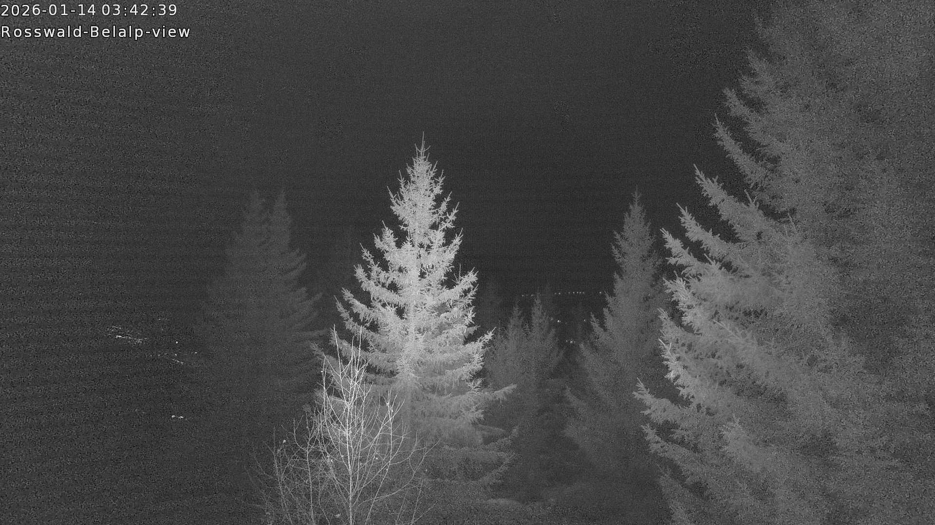 Archiv Foto Webcam Rosswald - Chalet Bergfriede