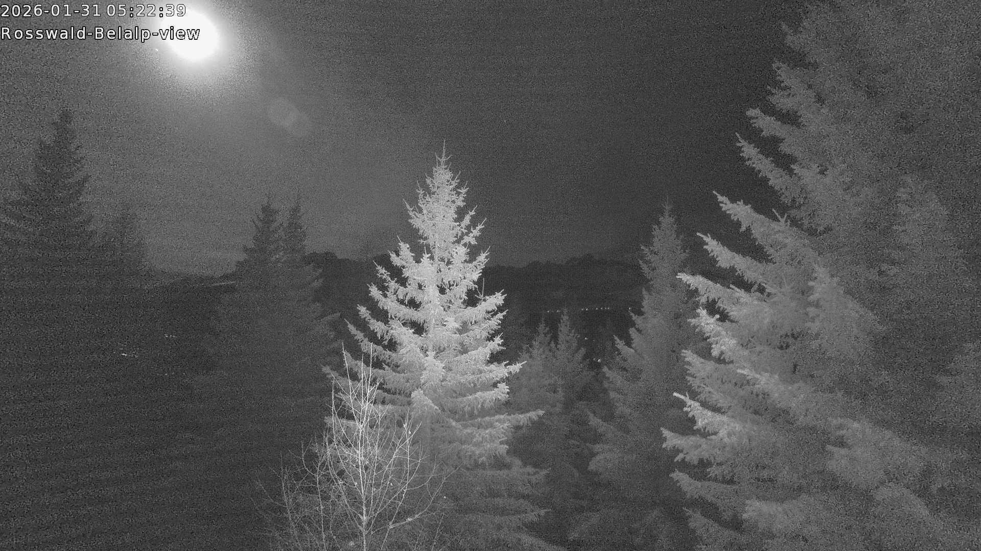 Archiv Foto Webcam Rosswald - Chalet Bergfriede