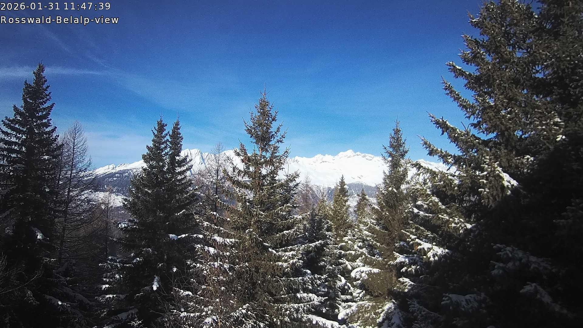 Archived image Webcam Rosswald - Bärgfriedu