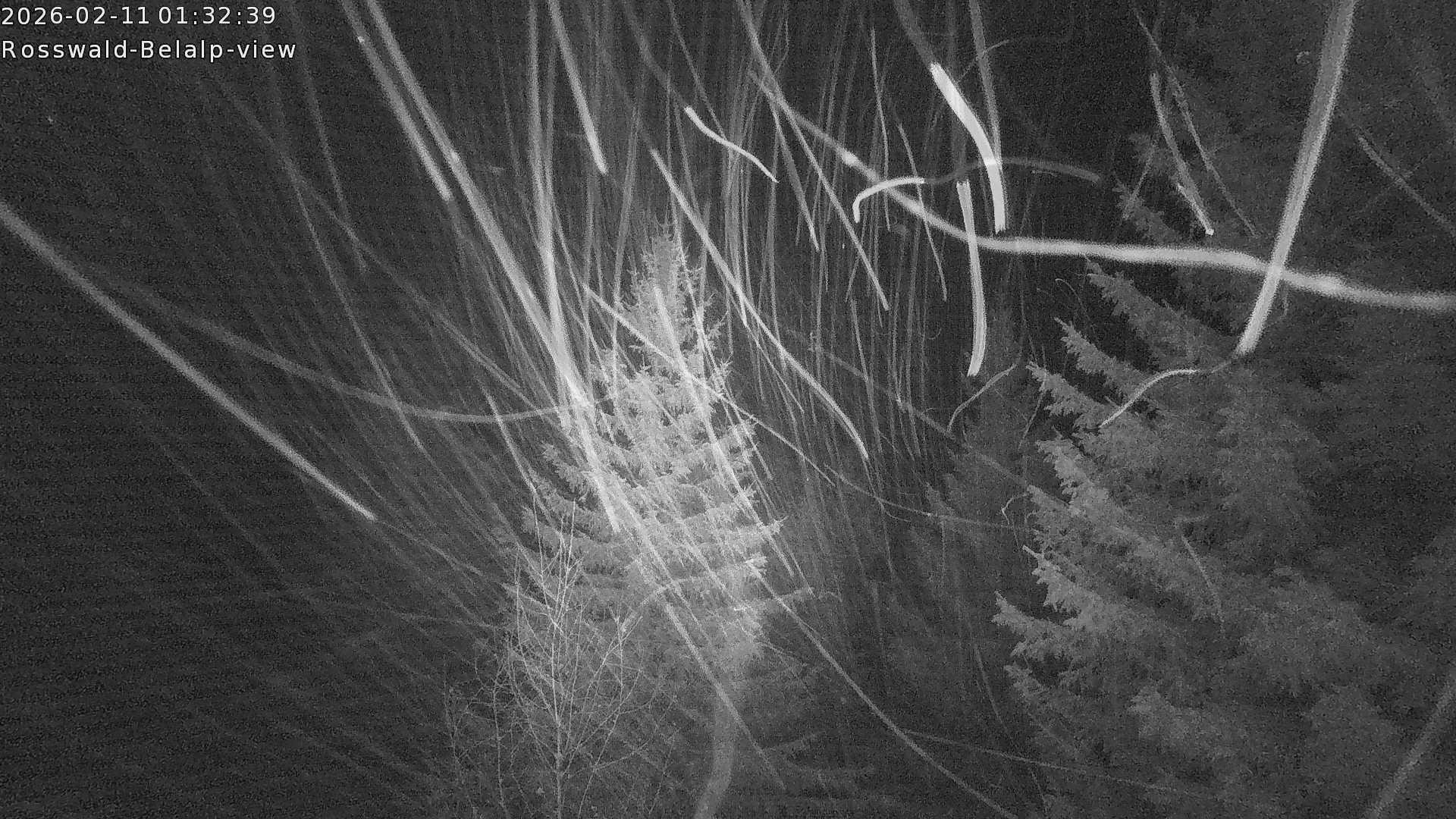 Archiv Foto Webcam Rosswald - Chalet Bergfriede