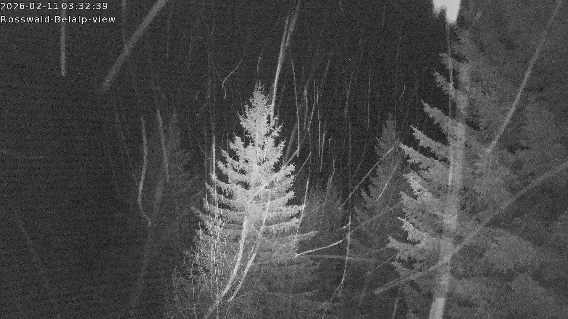 Archiv Foto Webcam Rosswald - Chalet Bergfriede