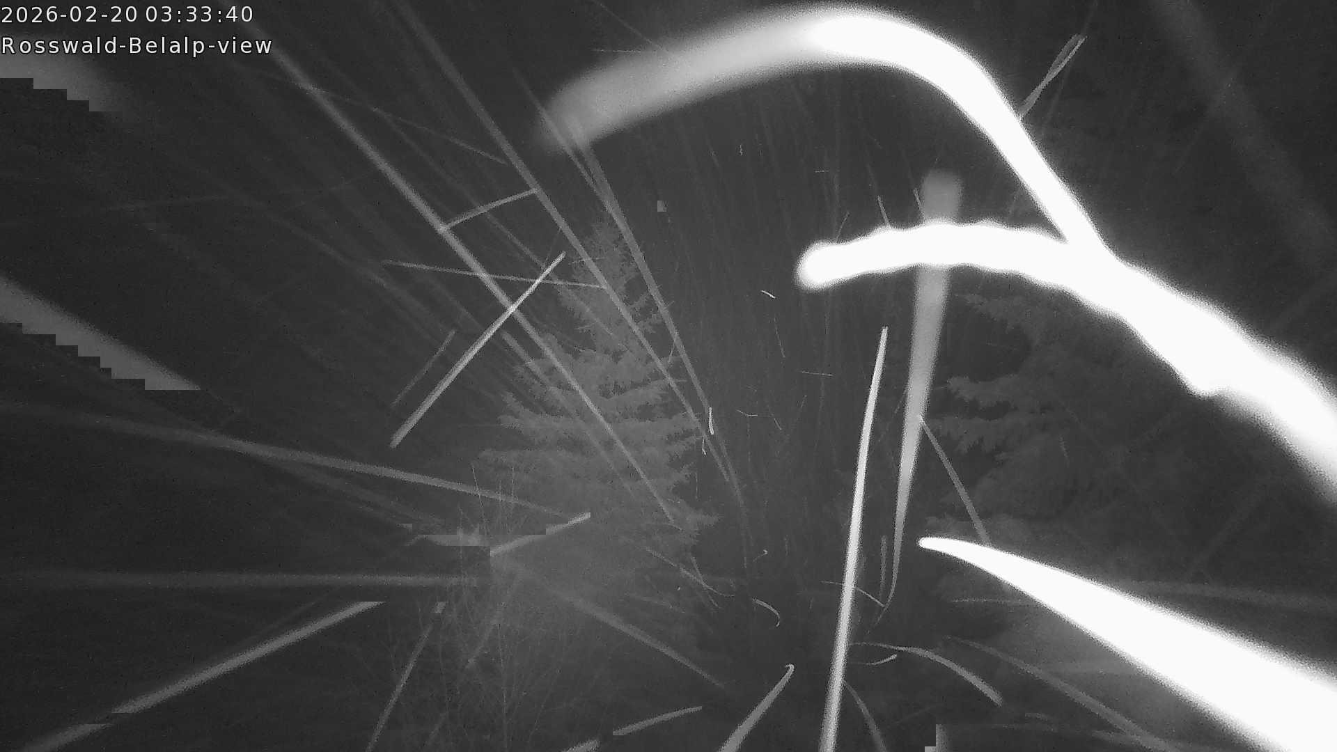 Archived image Webcam Rosswald - Bärgfriedu