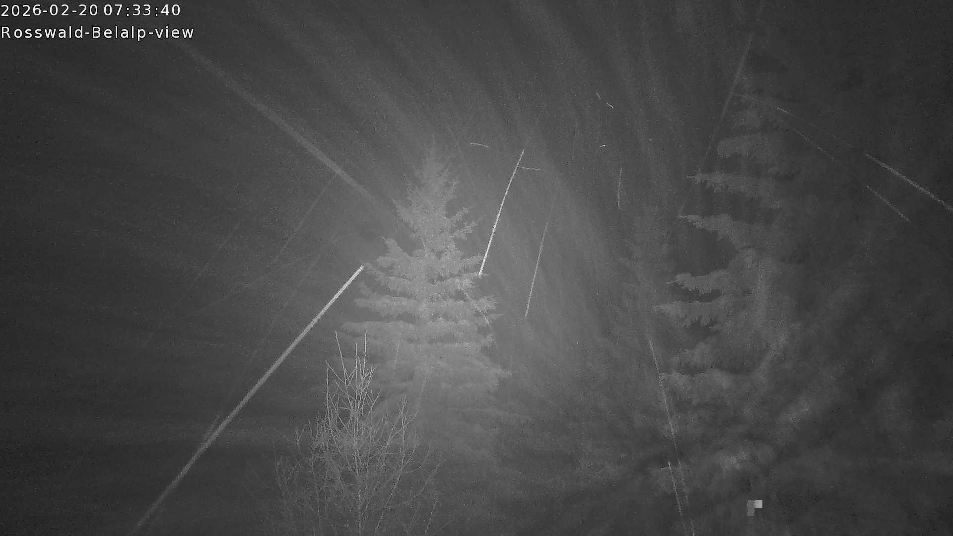 Archived image Webcam Rosswald - Bärgfriedu