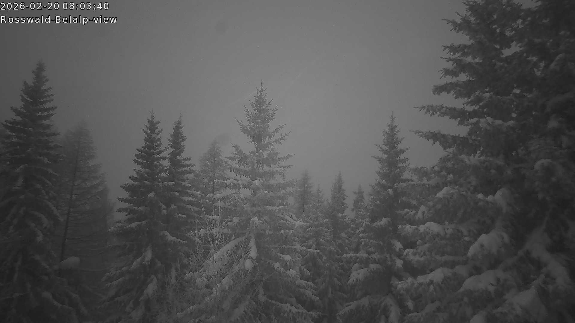 Archived image Webcam Rosswald - Bärgfriedu