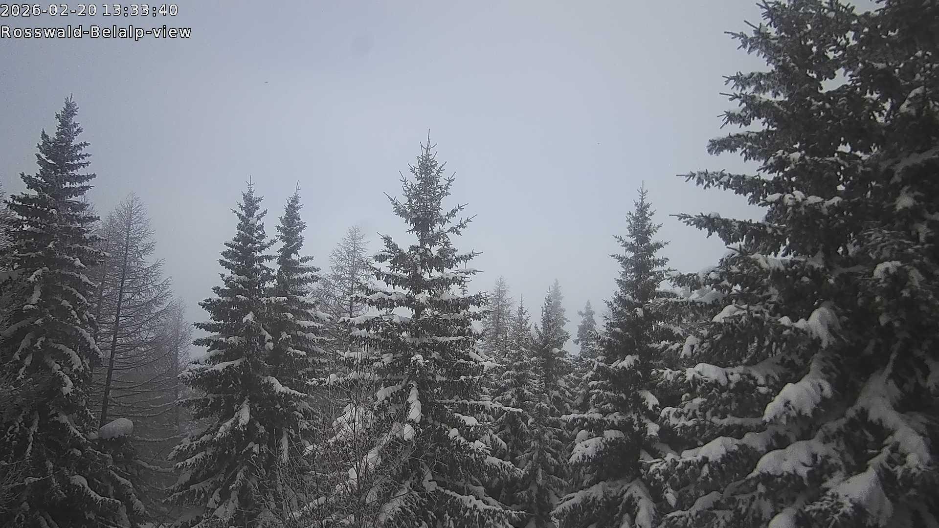 Archived image Webcam Rosswald - Bärgfriedu