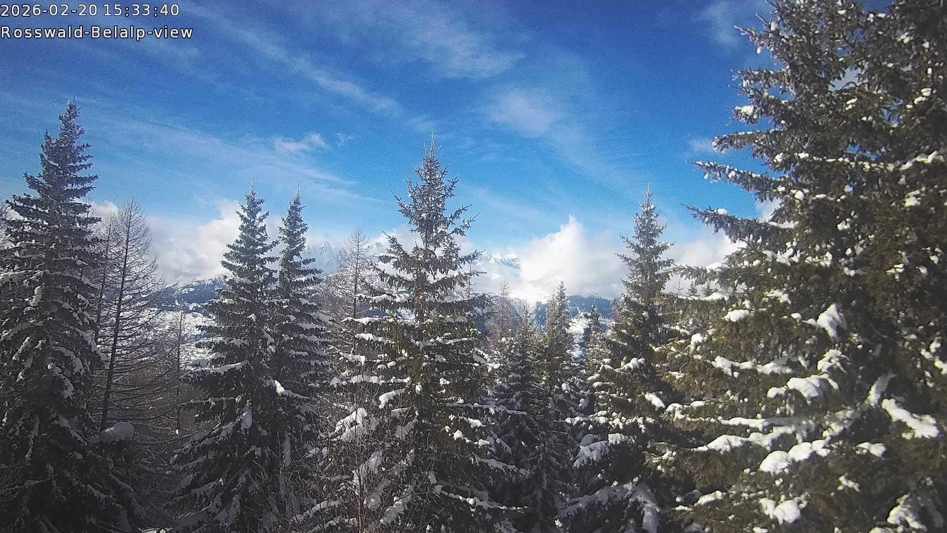 Archiv Foto Webcam Rosswald - Chalet Bergfriede
