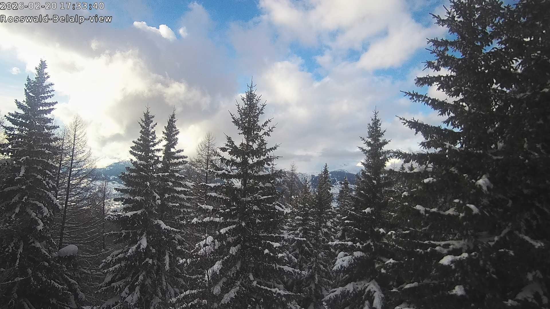 Archiv Foto Webcam Rosswald - Chalet Bergfriede