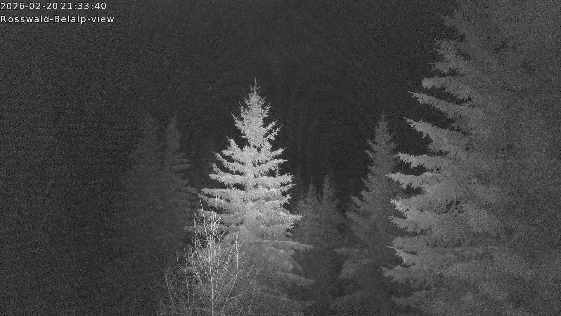 Archiv Foto Webcam Rosswald - Chalet Bergfriede