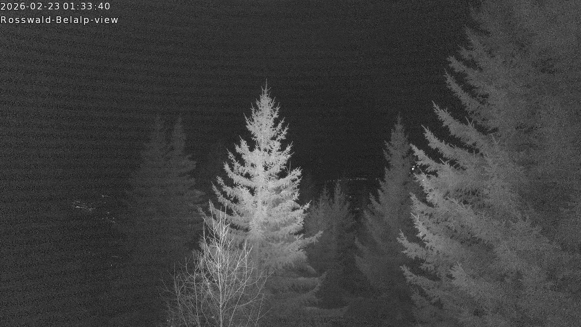 Archiv Foto Webcam Rosswald - Chalet Bergfriede