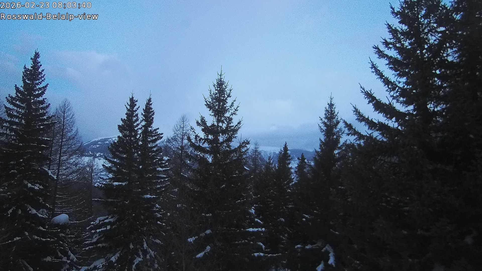 Archiv Foto Webcam Rosswald - Chalet Bergfriede