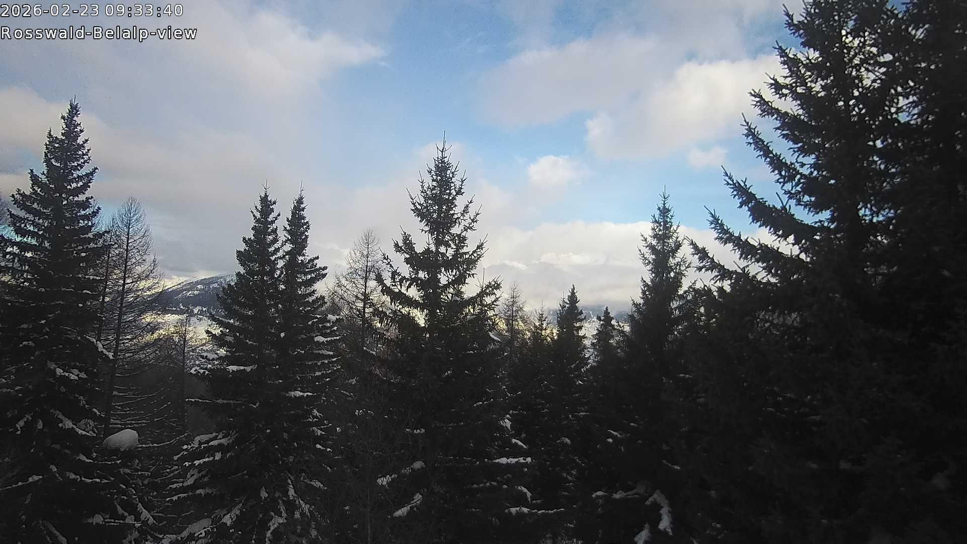 Archiv Foto Webcam Rosswald - Chalet Bergfriede