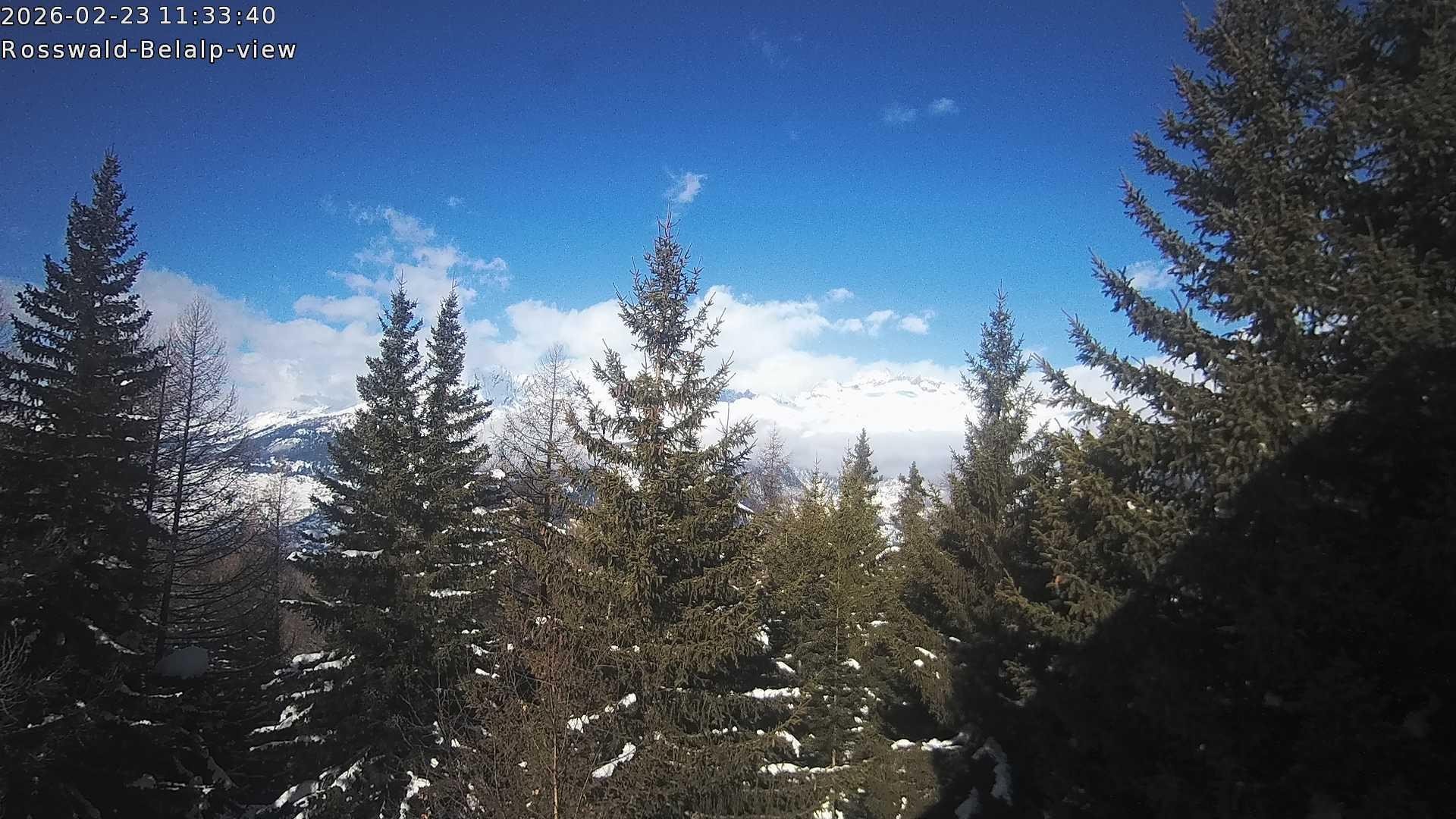 Archiv Foto Webcam Rosswald - Chalet Bergfriede