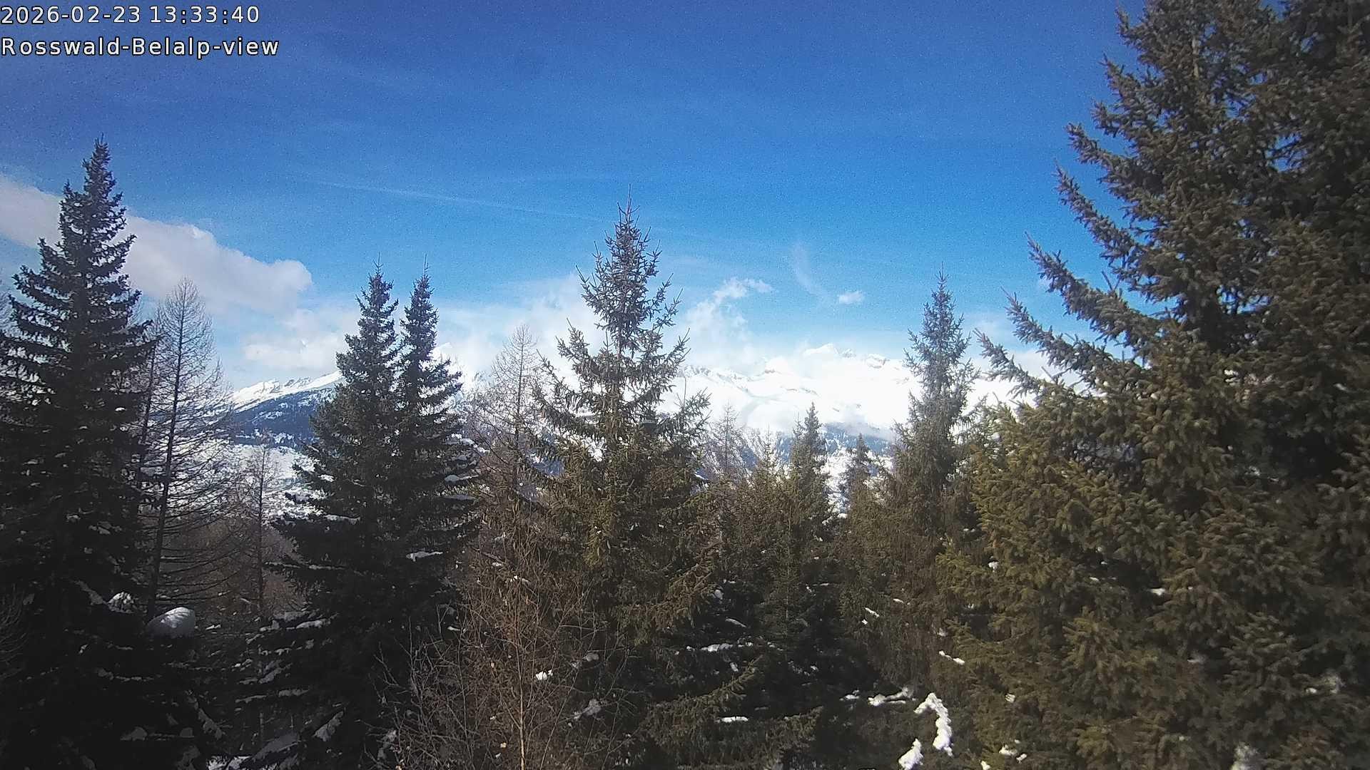 Archiv Foto Webcam Rosswald - Chalet Bergfriede