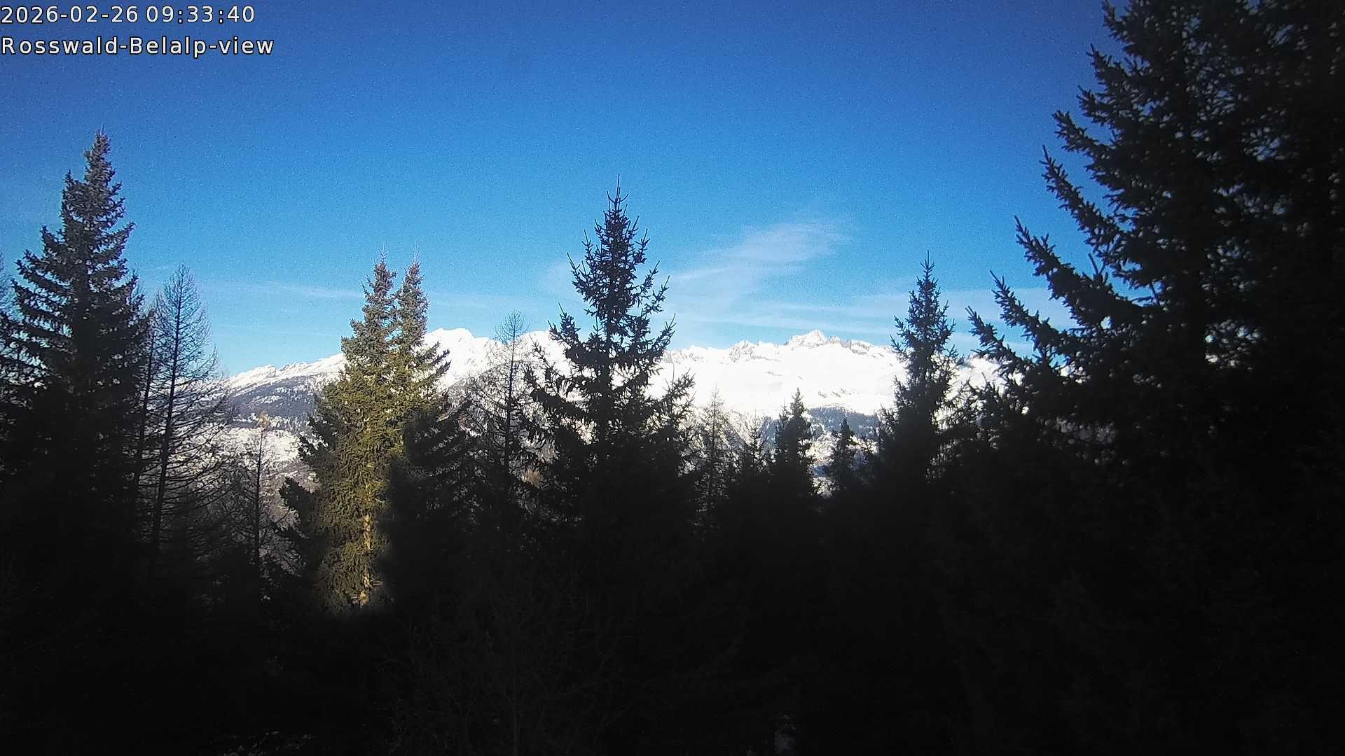 Archived image Webcam Rosswald - Bärgfriedu