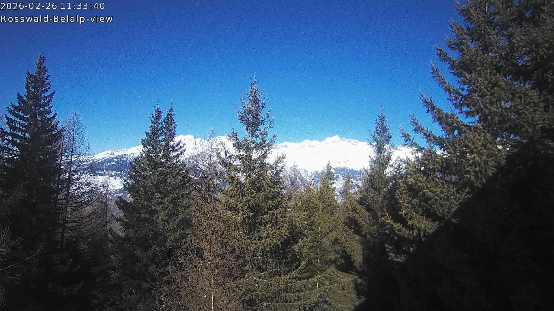 Archived image Webcam Rosswald - Bärgfriedu