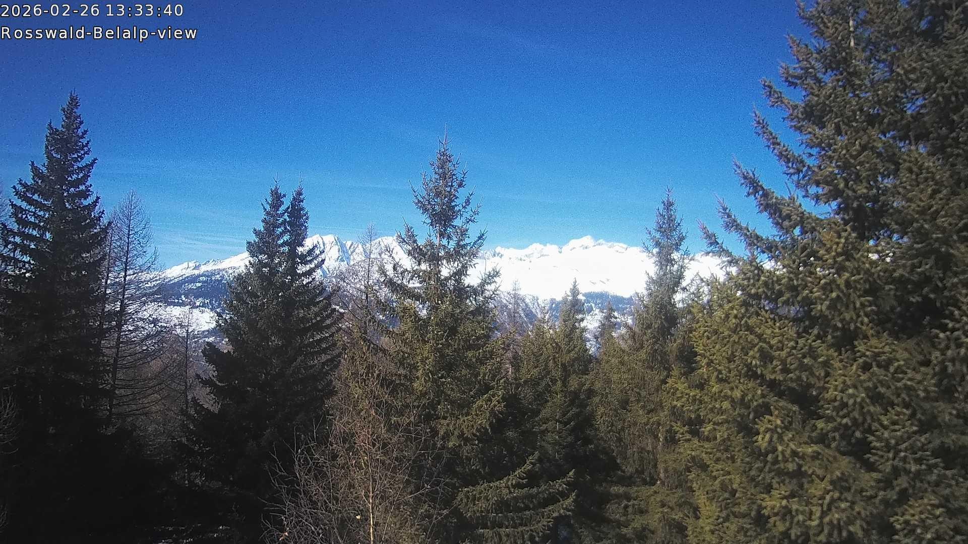 Archived image Webcam Rosswald - Bärgfriedu