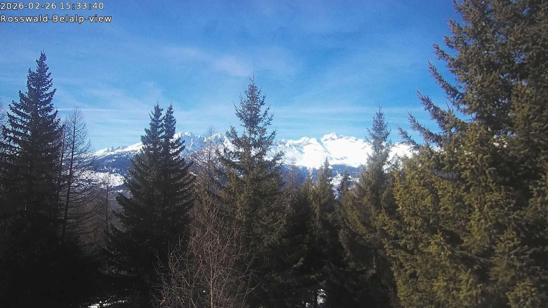 Archived image Webcam Rosswald - Bärgfriedu