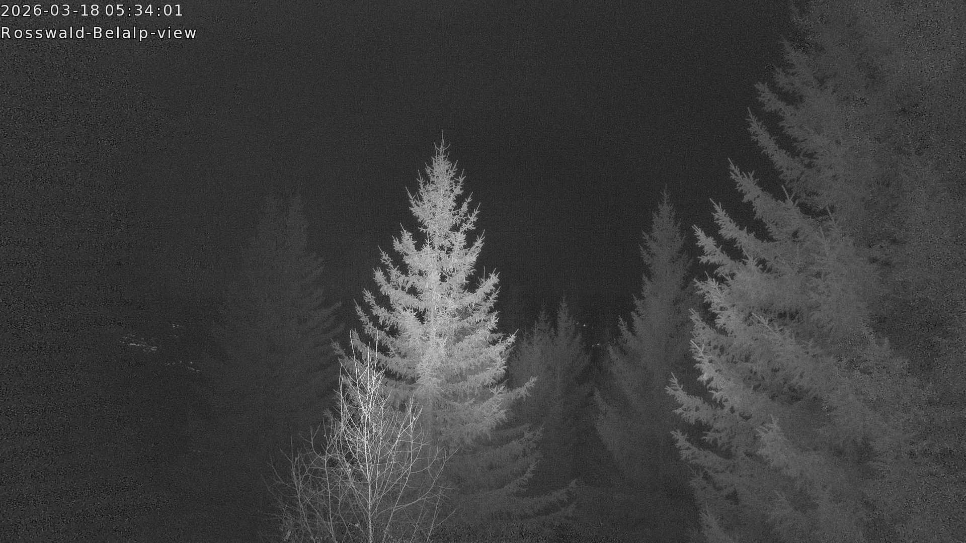 Archiv Foto Webcam Rosswald - Chalet Bergfriede