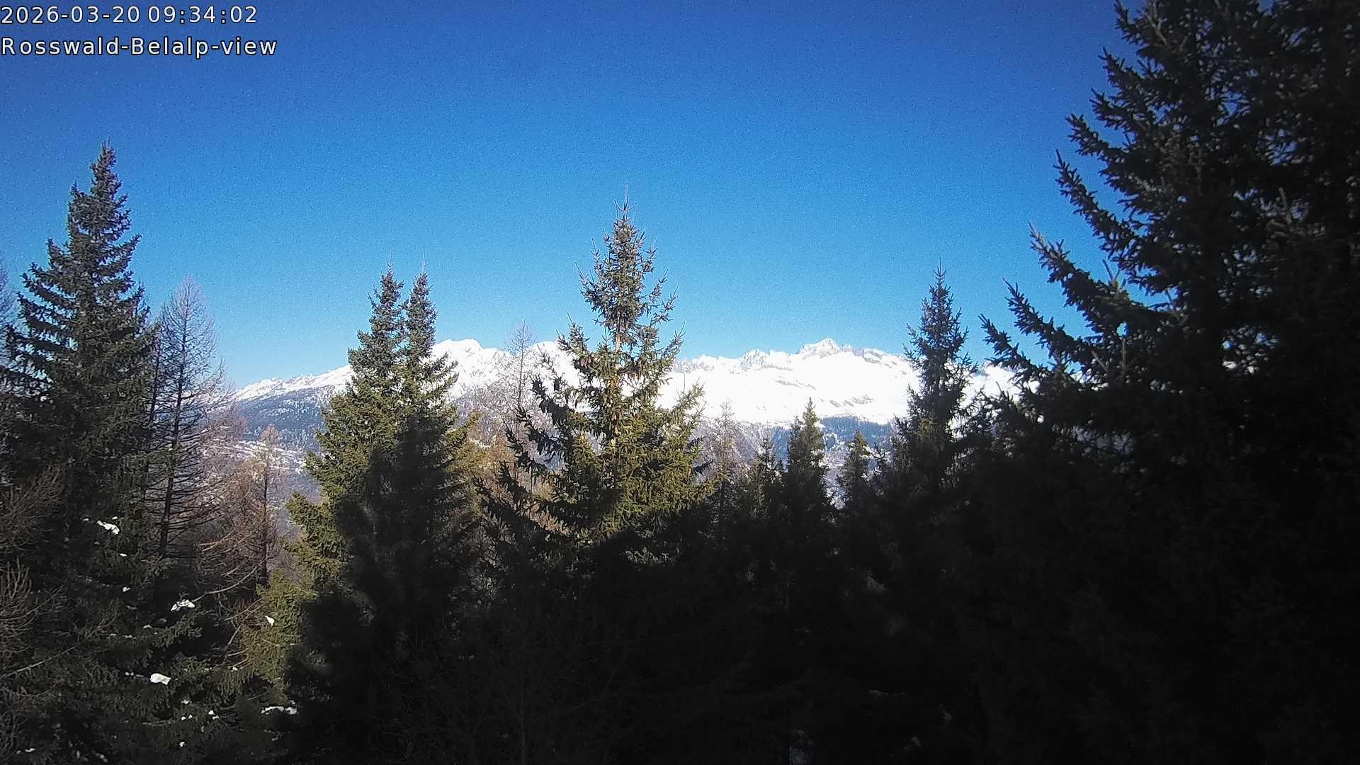 Archiv Foto Webcam Rosswald - Chalet Bergfriede