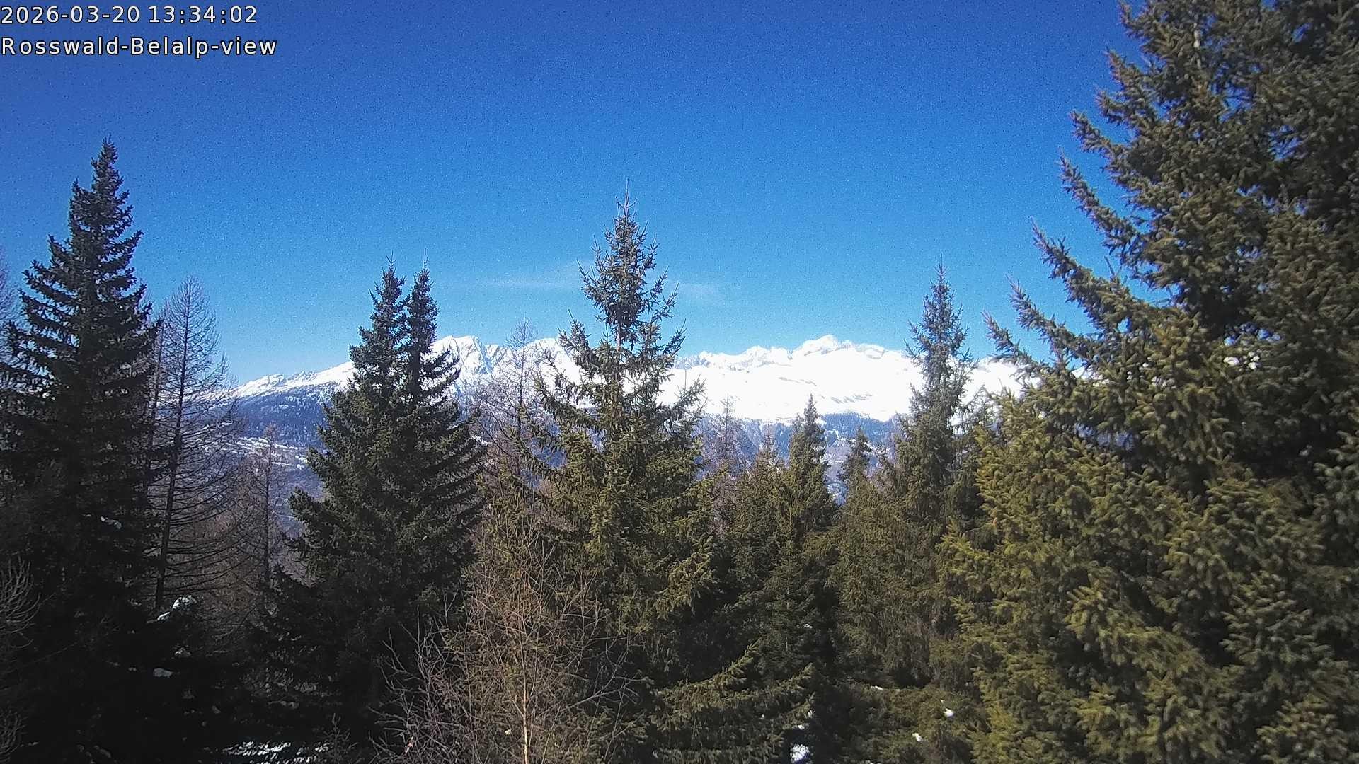 Archiv Foto Webcam Rosswald - Chalet Bergfriede