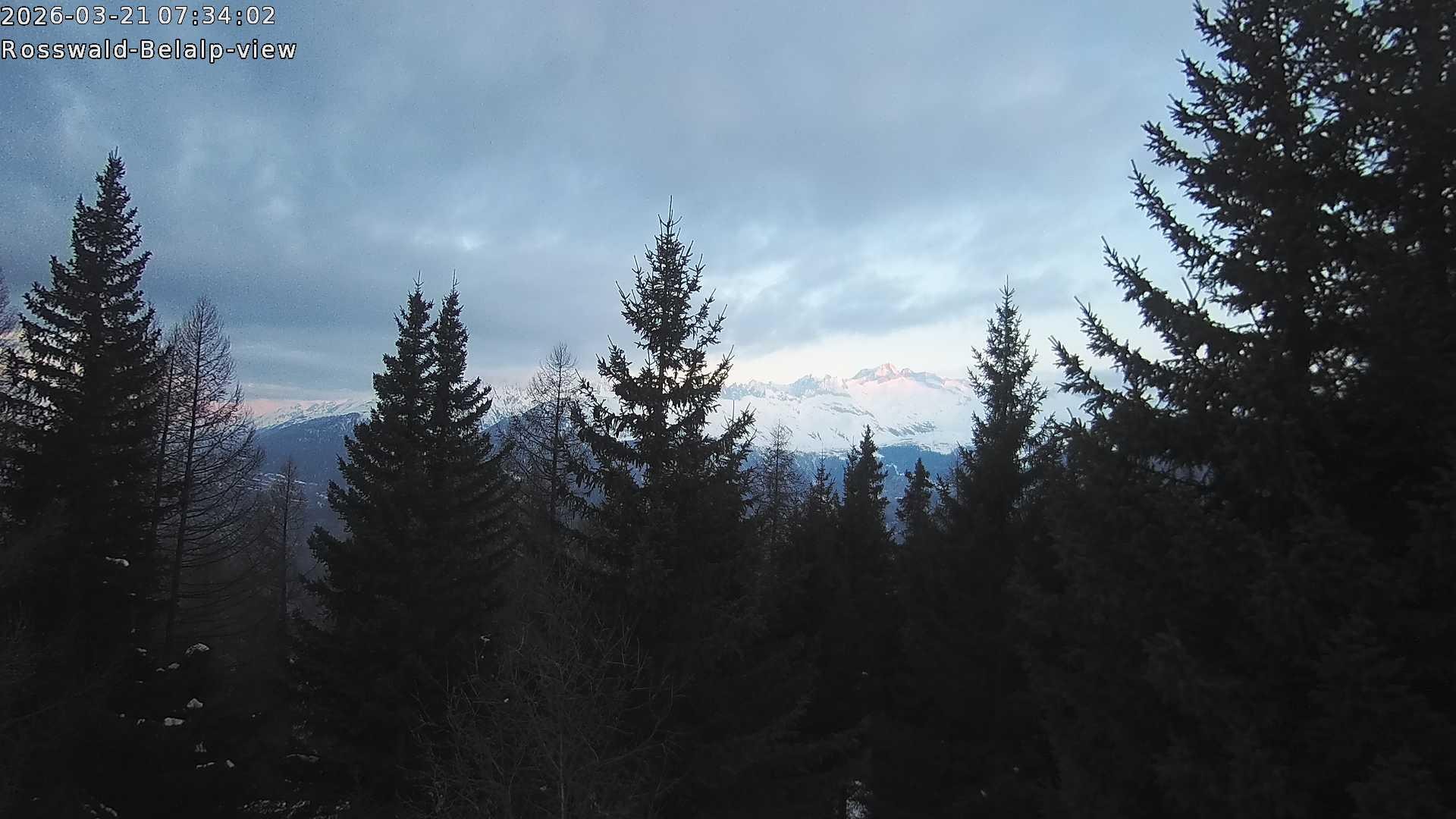 Archived image Webcam Rosswald - Bärgfriedu