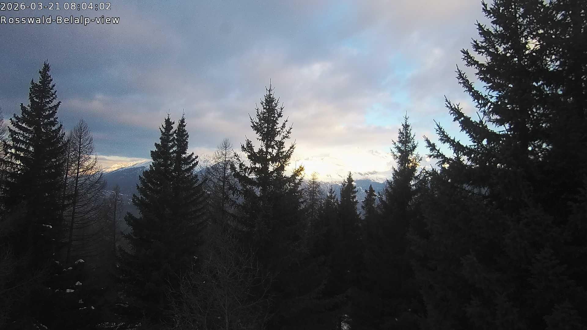 Archived image Webcam Rosswald - Bärgfriedu