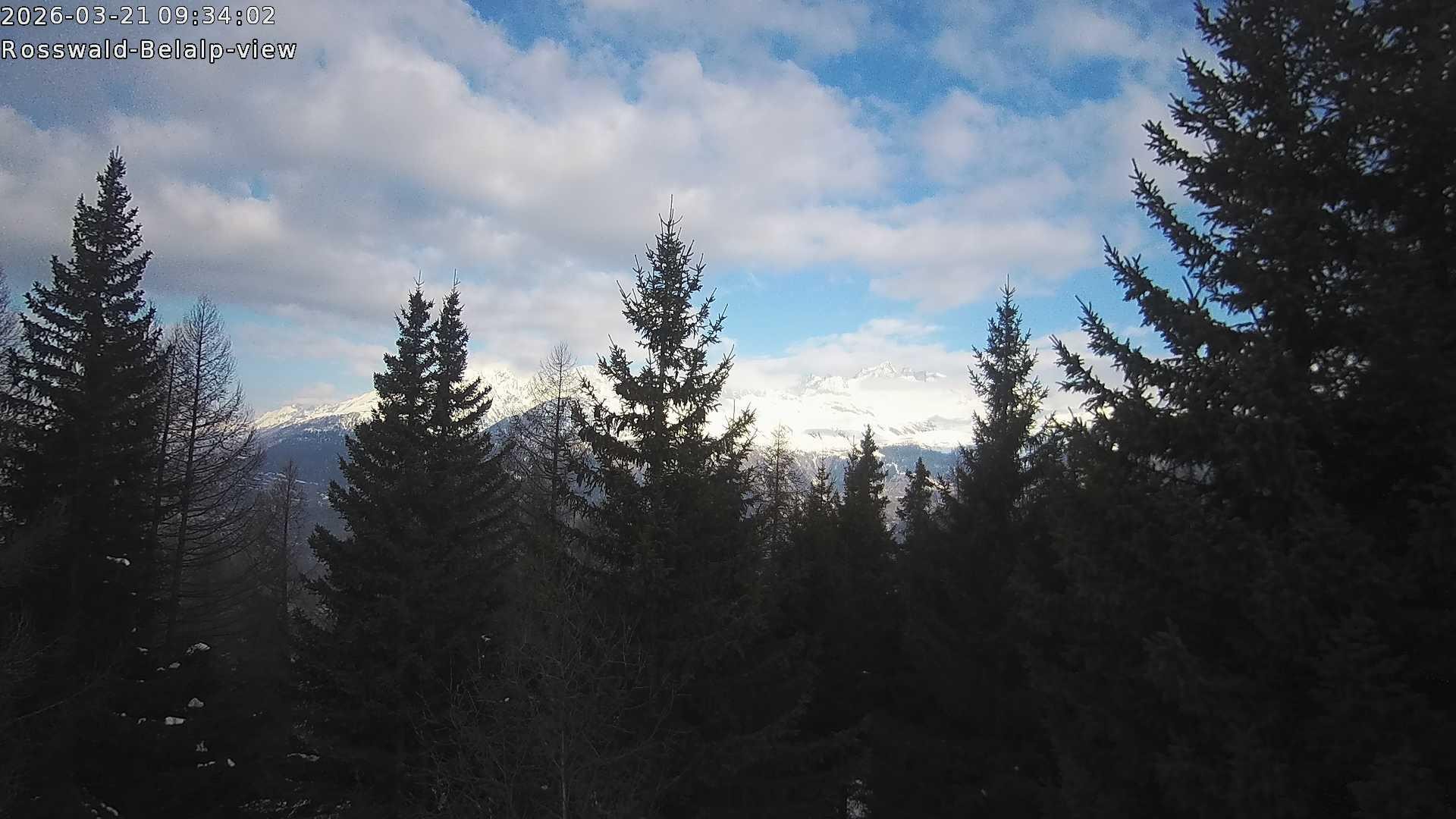 Archived image Webcam Rosswald - Bärgfriedu