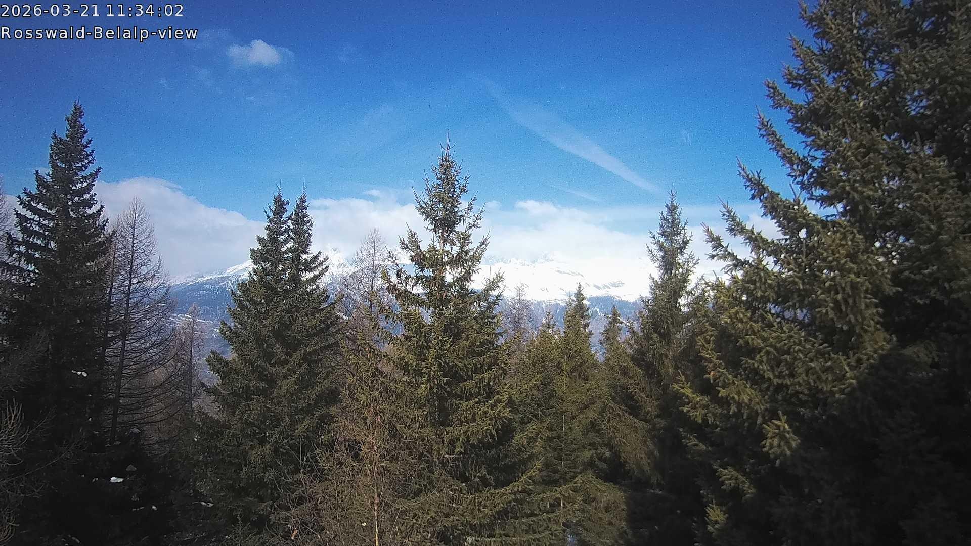 Archived image Webcam Rosswald - Bärgfriedu