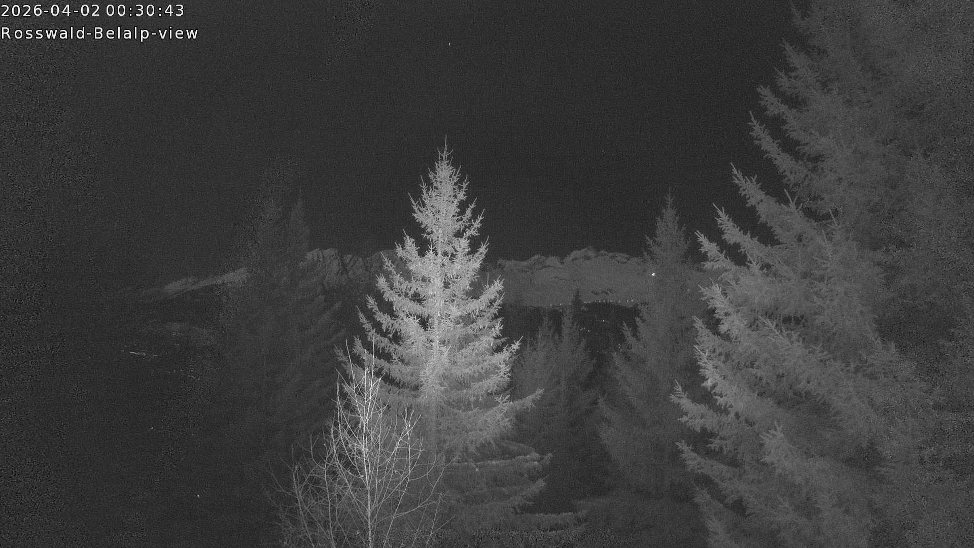 Archived image Webcam Rosswald - Bärgfriedu