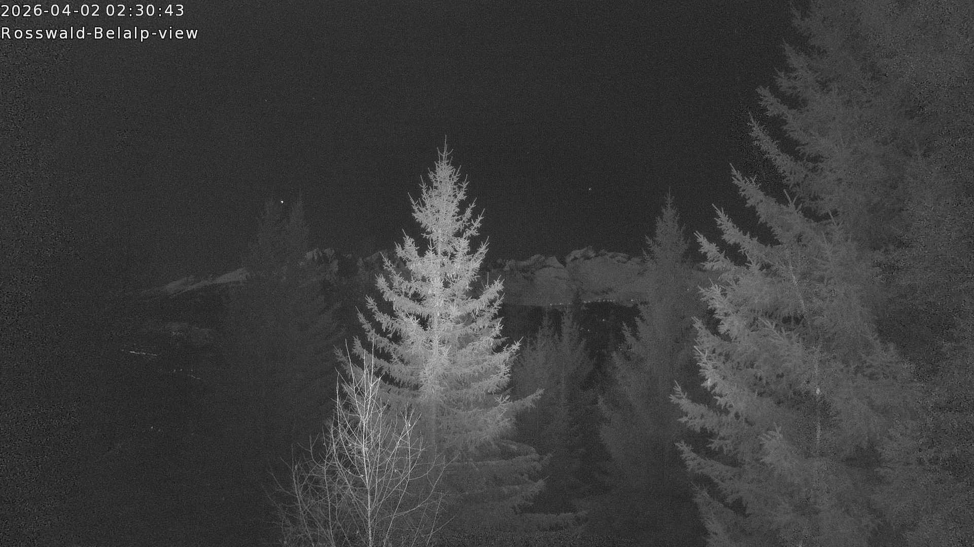 Archived image Webcam Rosswald - Bärgfriedu