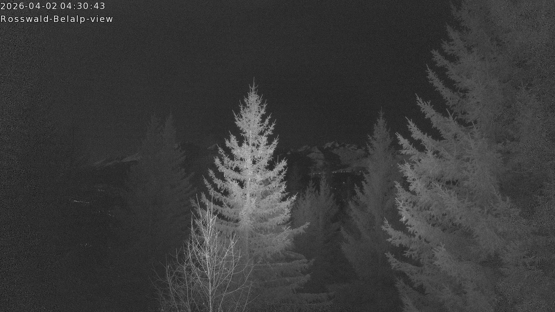 Archived image Webcam Rosswald - Bärgfriedu