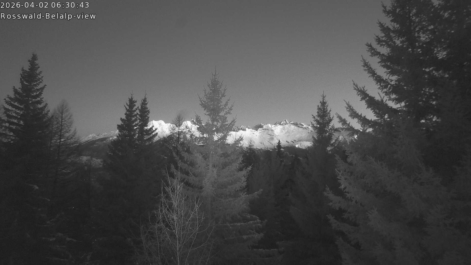 Archived image Webcam Rosswald - Bärgfriedu