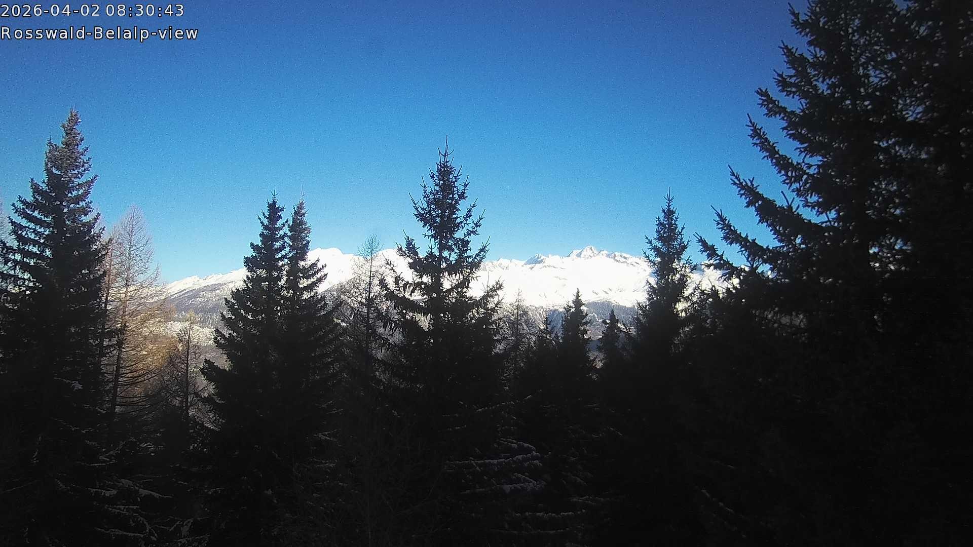 Archived image Webcam Rosswald - Bärgfriedu