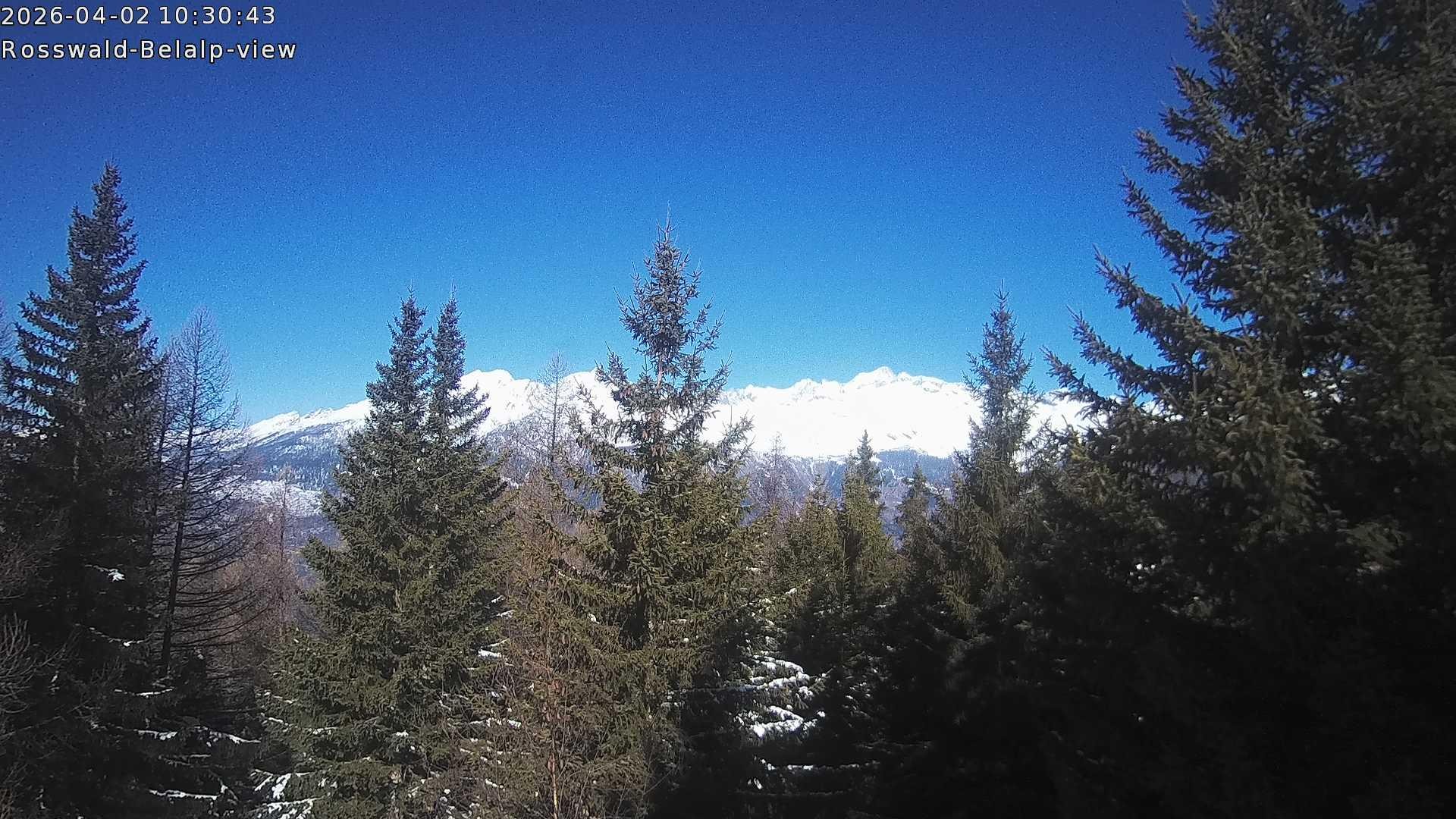 Archived image Webcam Rosswald - Bärgfriedu